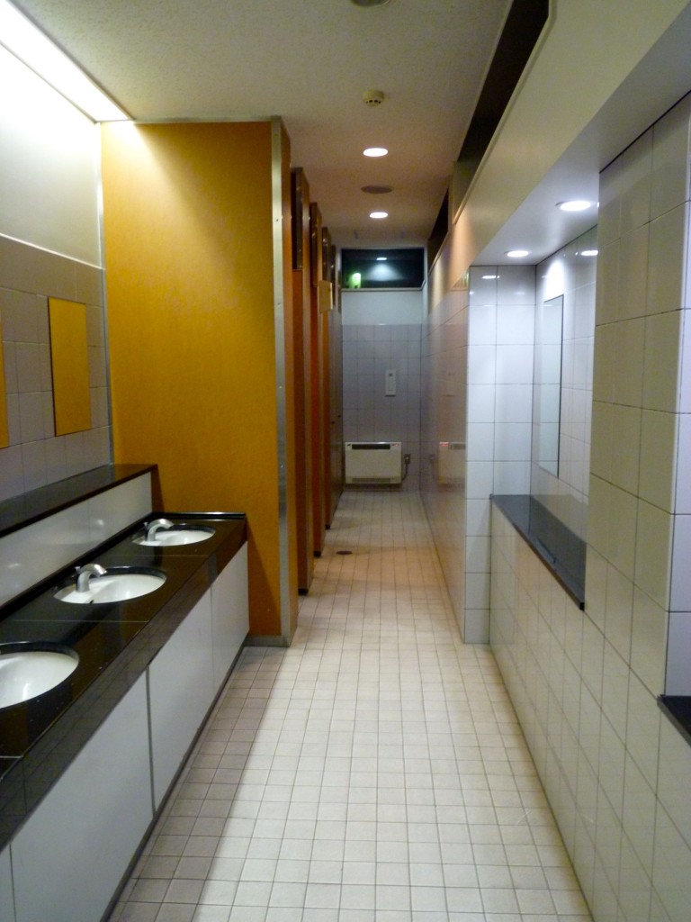 Sink and mirror area in a ladies' room in Japan